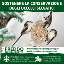 Carica l'immagine nel visualizzatore di Gallery, Eggersmann volaris Gnocchi di cince con rete da 30 pezzi [palline di cincia] 2,9 kg – Mangime per uccelli selvatici – Gn