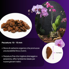 Carica l'immagine nel visualizzatore di Gallery, GebEarth® | Bark per Orchidee Professionale 【3 litri】| Pezzatura 10 – 15 mm | Substrato a base di Corteccia 100% Natural