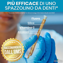 Carica l'immagine nel visualizzatore di Gallery, ORINKO® Siwak Naturale x3 con Custodia x1 - Spazzolino Ecologico per Denti - Miswak Africano per Pulizia, Sbiancamento e