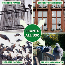 Carica l'immagine nel visualizzatore di Gallery, Gardemia Disabituante Anti Piccioni 750ml Spray Sgradito Azione Naturale Barriera Vegetale Che Disabitua da Balcone Casa