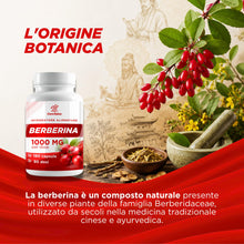 Carica l'immagine nel visualizzatore di Gallery, Berberina 1000mg Pura HCL - 180 Capsule Complex con Gymnema e Silimarina