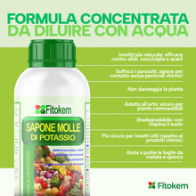 Carica l'immagine nel visualizzatore di Gallery, FITOKEM - Sapone Molle Potassico per Piante (1 Litro) Sapone Molle di Potassio per Piante, Insetticida ad Azione Abbatte