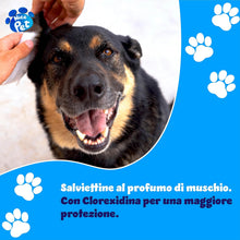 Carica l'immagine nel visualizzatore di Gallery, Nice Pet Salviette IGIENIZZANTI Cani, Gatti con CLOREXIDINA - 100 Salviette - Proteggono Il PH Naturale - Profum al Muschio - Salvette Ideali per l'igiene Manto di Cani e Gatti | Salviette Cane