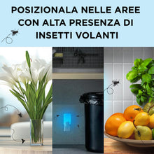 Carica l'immagine nel visualizzatore di Gallery, Raid Essentials Trappola Insetti Volanti Antimosche e Moscerini 2 Ricariche