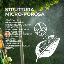Carica l'immagine nel visualizzatore di Gallery, Zeolite per agricoltura x 1 KG - Polvere di roccia, Potenziatore delle difese naturali Effetto Insetticida e Fungicida -