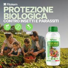 Carica l'immagine nel visualizzatore di Gallery, FITOKEM - Sapone Molle Potassico per Piante (1 Litro) Sapone Molle di Potassio per Piante, Insetticida ad Azione Abbatte
