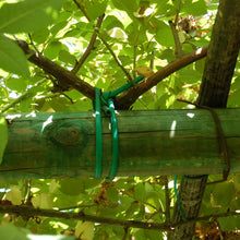 Carica l'immagine nel visualizzatore di Gallery, TENAX Tubetto Agricolo Verde 1000g Diametro 5mm, Legatura in PVC per Piante, ortaggi e Fiori, Lunghezza Circa 78 m