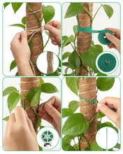Carica l'immagine nel visualizzatore di Gallery, 4 Pezzi Asta Muschio Monstera 40 cm - Supporto per Piante in Fibra di Cocco per Monstera, Piante Espandibili e Rampicant