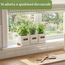 Carica l'immagine nel visualizzatore di Gallery, PERFNIQUE Set di fioriere da giardino per erbe aromatiche da interni, con vassoio, vasi per piante da fattoria, fioriera