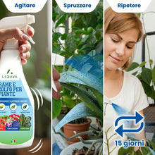 Carica l'immagine nel visualizzatore di Gallery, LERAVA Rame e Zolfo Spray (700 ml) - Fungicida rameico naturale per piante contro Oidio, Peronospora e macchie brune - C