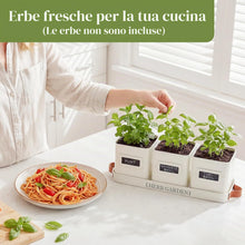 Carica l'immagine nel visualizzatore di Gallery, PERFNIQUE Set di fioriere da giardino per erbe aromatiche da interni, con vassoio, vasi per piante da fattoria, fioriera