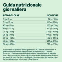 Carica l'immagine nel visualizzatore di Gallery, by Amazon Complete Dry Dog Food with Salmon And Rice for Medium And Large Breeds 5kg (Precedentemente Un Marchio Lifelon