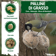 Carica l'immagine nel visualizzatore di Gallery, Eggersmann volaris Gnocchi di cince con rete da 30 pezzi [palline di cincia] 2,9 kg – Mangime per uccelli selvatici – Gn