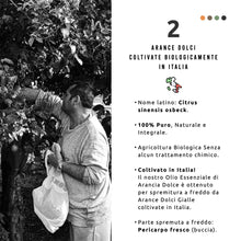 Carica l'immagine nel visualizzatore di Gallery, 50ml Olio Essenziale di Arancio Dolce BIO (buccia) - Coltivato in Italia - 100% Puro, Naturale e Biologico - Citrus Aura