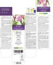 Carica l'immagine nel visualizzatore di Gallery, Epilobio (Epilobium parviflorum) erba Tintura Madre analcoolica Naturalma - Estratto liquido gocce 120 ml - Integratore 
