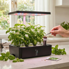 Carica l'immagine nel visualizzatore di Gallery, QWORK® 125 Pezzi coltivazione idroponica con 50 spugne di ricambio, accessori per giardino idroponico, per erbe aromatic