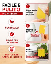 Carica l'immagine nel visualizzatore di Gallery, PIC Trappola Moscerini - 10x Trappola per Moscerini in Casa, acchiappa cimici efficace contro i moscerini piante, Carta 