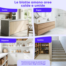 Carica l'immagine nel visualizzatore di Gallery, Wolkenfeld 12 Trappole Scarafaggi e Blatte da Interno – Esca Naturale Adesiva per Disinfestazione Casa – Alternativa a G