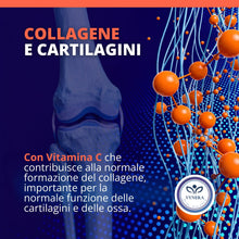 Carica l'immagine nel visualizzatore di Gallery, Glucosamina Condroitina MSM 1450mg 180 Compresse