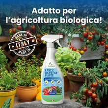 Carica l'immagine nel visualizzatore di Gallery, LERAVA Rame e Zolfo Spray (700 ml) - Fungicida rameico naturale per piante contro Oidio, Peronospora e macchie brune - C
