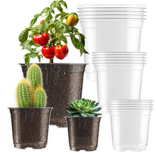 Carica l'immagine nel visualizzatore di Gallery, 15 Pezzi Vasi per Piante in Plastica, Vasetti per Piantine da 9/10/13cm Vaso Trasparente per Orchidee con Fori di Drenag