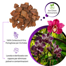 Carica l'immagine nel visualizzatore di Gallery, GebEarth® | Bark per Orchidee Professionale 【3 litri】| Pezzatura 10 – 15 mm | Substrato a base di Corteccia 100% Natural
