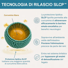 Carica l'immagine nel visualizzatore di Gallery, Igennus Longvida Curcumina 500 mg, 285x Maggiore Biodisponibilità, Vegano
