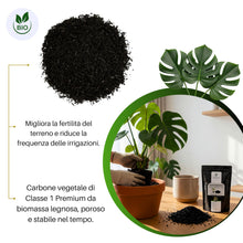 Carica l'immagine nel visualizzatore di Gallery, GebEarth® | Biochar Carbone Vegetale per Piante Premium 【1L】| Ammendante Naturale da Biomassa Legnosa | Migliora Fertili