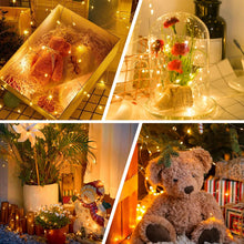 Carica l'immagine nel visualizzatore di Gallery, Luci Solari Esterno【3 Pacchi】12+2M 120LED Luci Solari da Giardino