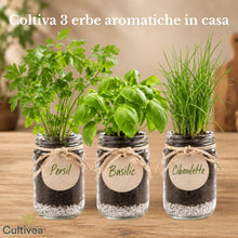 Carica l'immagine nel visualizzatore di Gallery, CULTIVEA® Set Erbe Aromatiche da Coltivare – Semi Basilico, Prezzemolo ed Erba Cipollina – Kit Aromatica con 3 Vasetti i