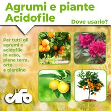 Carica l'immagine nel visualizzatore di Gallery, CIFO - Concime Agrumi a Base di Lupini Macinati per Limoni, Aranci e Piante Acidofile - Concime Granulare, Biologico e 1