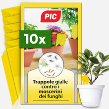 Carica l'immagine nel visualizzatore di Gallery, PIC Trappola Moscerini - 10x Trappola per Moscerini in Casa, acchiappa cimici efficace contro i moscerini piante, Carta 