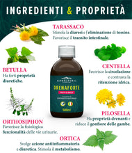 Carica l'immagine nel visualizzatore di Gallery, Drenaforte Drenante Forte 6 Estratti, Frutti di Bosco, 500ml