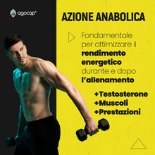 Carica l'immagine nel visualizzatore di Gallery, ZMA Alta Concentrazione 180 compresse. Integratore Testosterone Massa Muscolare a base di Zinco, Magnesio e Vitamina B6.