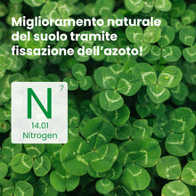 Carica l'immagine nel visualizzatore di Gallery, LERAVA Trifoglio Nano (50 m²) - Semi prato resistente al calpestio - copertura fitta e uniforme per zone in ombra e sole