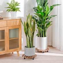 Carica l'immagine nel visualizzatore di Gallery, Bamworld Porta Piante da Interno con Ruote – Set di 2 Basi Rotonde in Legno per Vasi Grandi, Pedana Mobile per Interno e