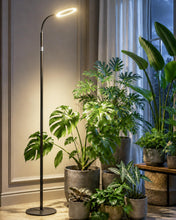 Carica l'immagine nel visualizzatore di Gallery, Bamworld Lampada da Coltivazione a LED a Spettro Completo, Lampada da Terra con Altezza Regolabile, 10 Livelli di Lumino
