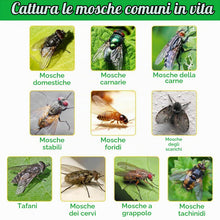 Carica l'immagine nel visualizzatore di Gallery, 3X Trappole per mosche da esterno,3X attrattivo,Trappola mosches esternos
