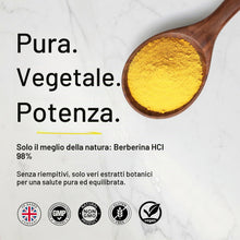Carica l'immagine nel visualizzatore di Gallery, Berberina Pura 500 mg Alta Concentrazione, Estratto 10:1, 90 Capsule