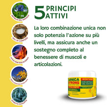 Carica l'immagine nel visualizzatore di Gallery, Arnica Per Cavalli Uso Umano 99% per massaggi professionali