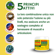 Carica l'immagine nel visualizzatore di Gallery, Arnica Per Cavalli Uso Umano 99% per massaggi professionali