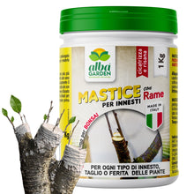 Carica l'immagine nel visualizzatore di Gallery, Albagarden - Mastice Per Innesti E Potature ++ Con Rame ++ Antibatterico Pasta Cicatrizzante Curativa Per Ferite Piante 