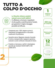 Carica l'immagine nel visualizzatore di Gallery, vit4ever Vitamina B2 (Riboflavina) - 365 Compresse - 250 mg