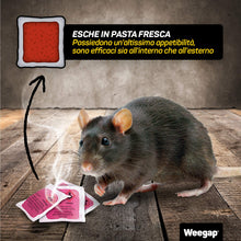 Carica l'immagine nel visualizzatore di Gallery, Veleno per Topi Professionale, Esca Topicida Ratticida in Bustine di Pasta Fresca, Novità Aroma al Salmone, Rodenticida 
