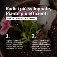 Carica l'immagine nel visualizzatore di Gallery, Biotica Humicum Riza Humus di Lombrico con Micorrize e Trichoderma 6L