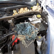 Carica l'immagine nel visualizzatore di Gallery, REPELLENTE ANTI RODITORI RATTI TOPI MARTORE PER AUTOMOBILI