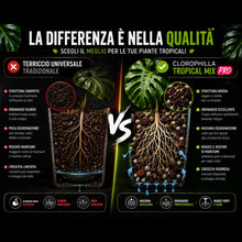 Carica l'immagine nel visualizzatore di Gallery, Clorophilla Tropical Mix PRO - Terriccio Premium per Monstera, Philodendron, Alocasia, Anthurium e Piante Tropicali | Su