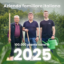 Carica l'immagine nel visualizzatore di Gallery, LERAVA Concime siepe (1,7 kg) - fertilizzante a lenta cessione - crescita rigogliosa - per siepi verdi e dense - ideale 