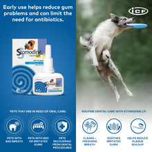 Carica l'immagine nel visualizzatore di Gallery, Cif Stomodine Lp Gengive Gel, 50 ml