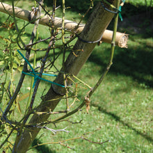 Carica l'immagine nel visualizzatore di Gallery, TENAX Tubetto Agricolo Verde 1000g Diametro 5mm, Legatura in PVC per Piante, ortaggi e Fiori, Lunghezza Circa 78 m